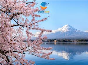 Top 5 Điểm Đến Ngắm Hoa Anh Đào Đẹp Nhất Nhật Bản 2026